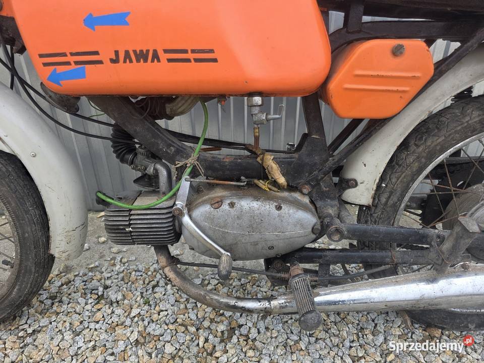 Jawka Mustang mat Bratoszów