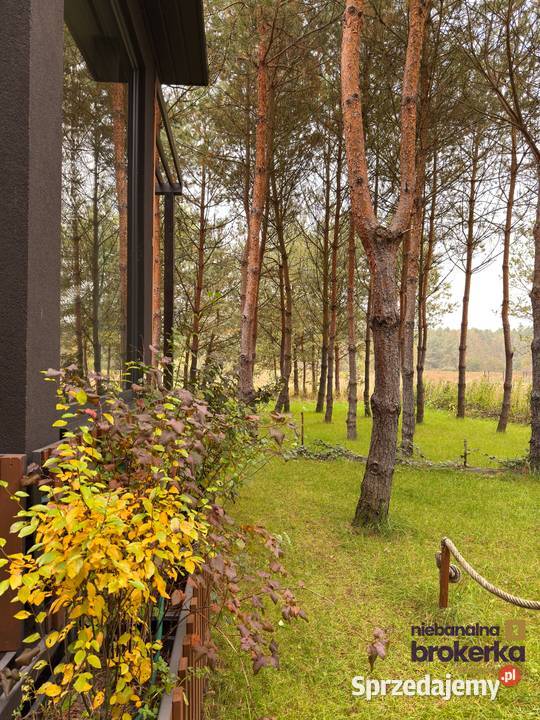 ZAINWESTUJ W CISZĘ Gotowy biznes i Twój prywatny 1250m2 Tomczyn