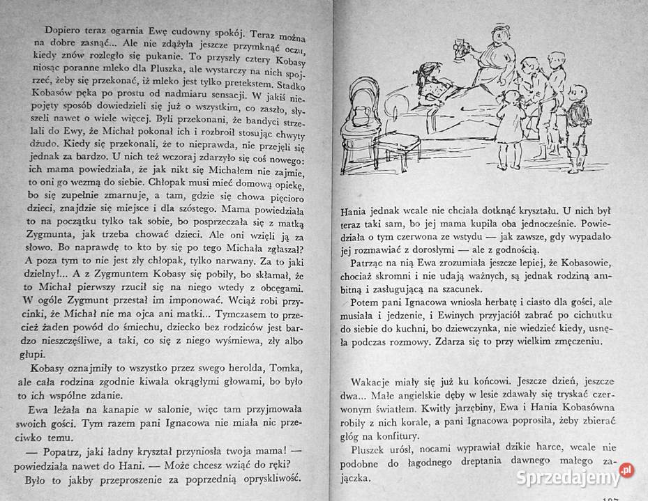 Deszcz zając i chłopiec Zofia Woźnicka Chełm