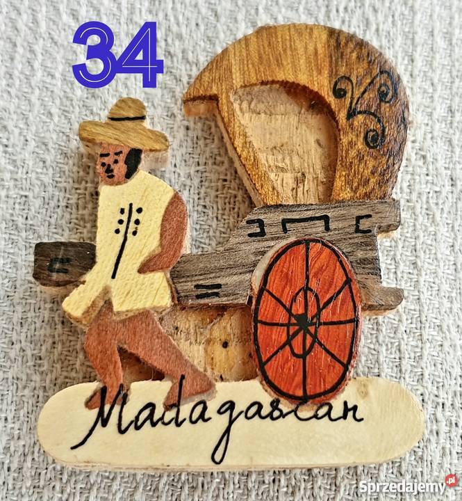 Madagaskar Madagascar Magnes na lodówkę Kobyłka