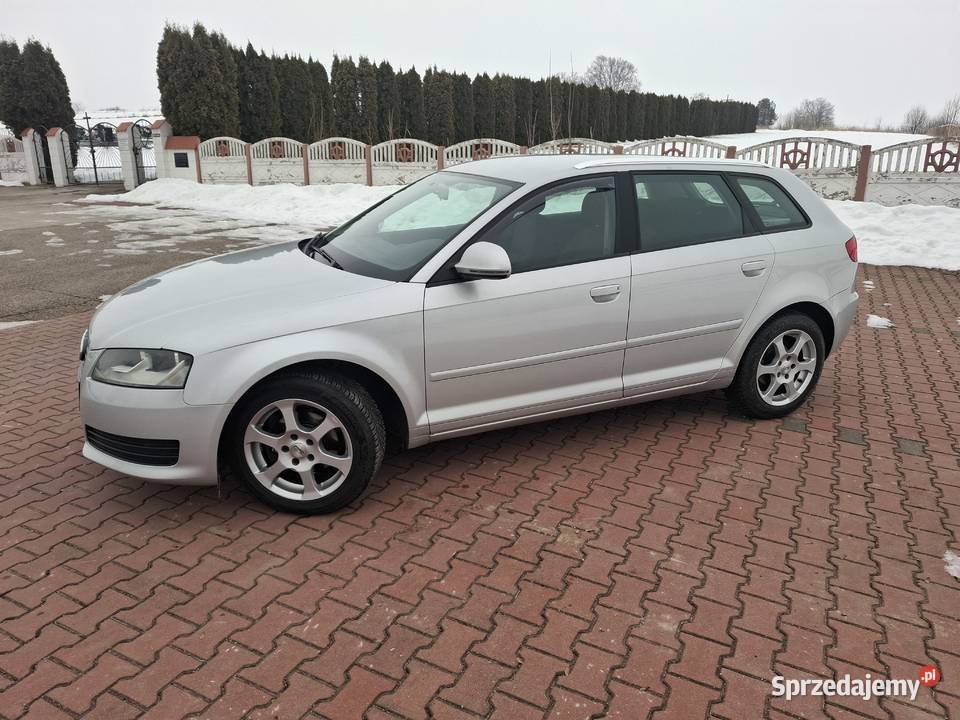 Audi a3 16 MPI 102 SerwisBezwypadekZadbany 193000km A3 Pawłów