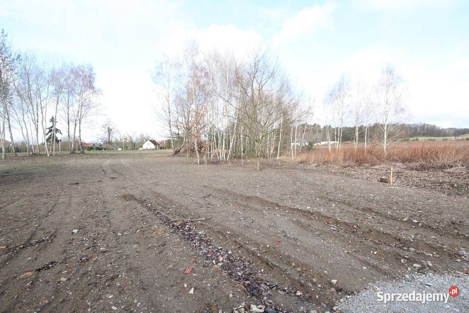 Dz Inwestycyjna 3498 m2 ok Trzebnickiej MEDIA dolnośląskie