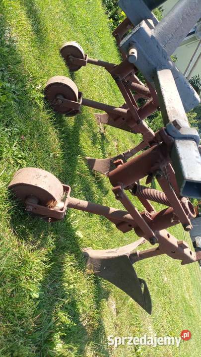 Radełka do ziemniaków Szydłów