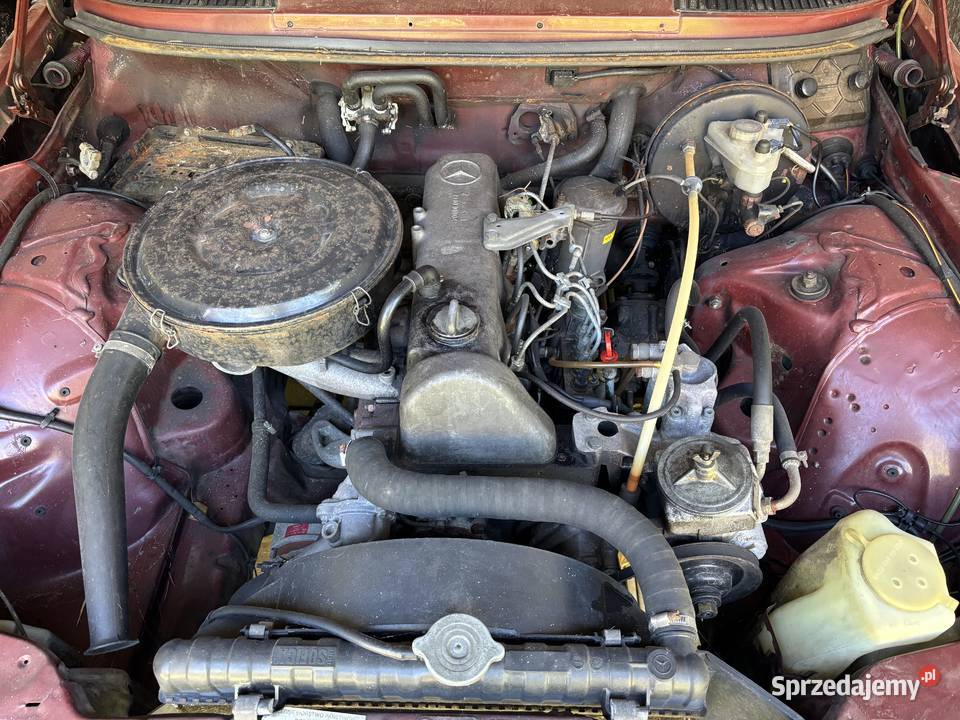 Mercedes W123 240D 2000cm3 Wrocław