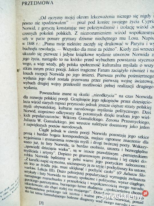 Norwid Gorzki to chleb jest polskość myśli