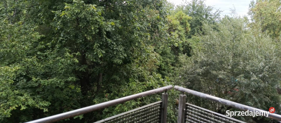 Sprzedam dwupokojowe mieszkanie balkon piwnica Sprzedaż Kraków