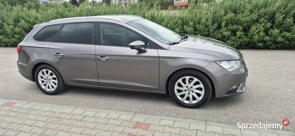 Seat Leon przyciemniane szyby małopolskie Szczucin
