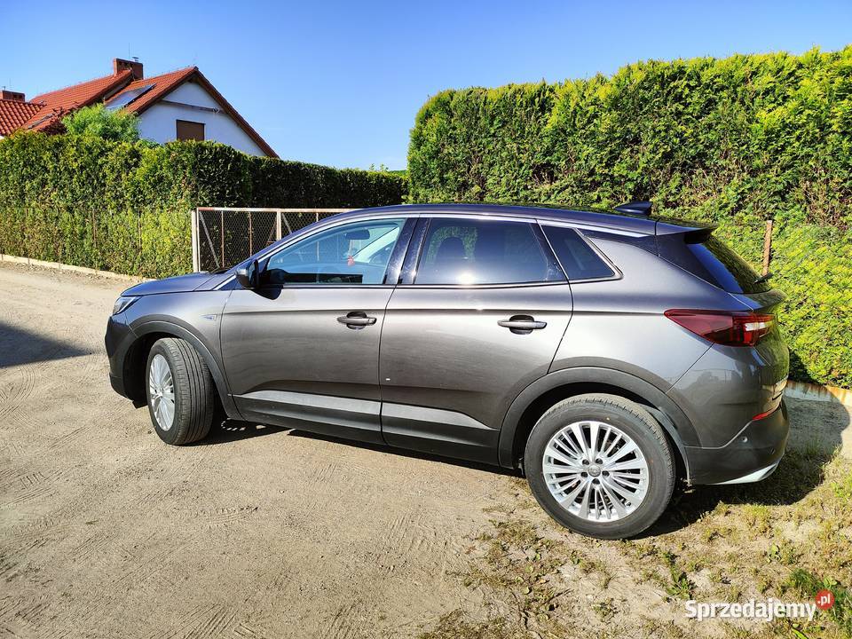 Opel Grandland X kamera cofania Crossland X Kościan
