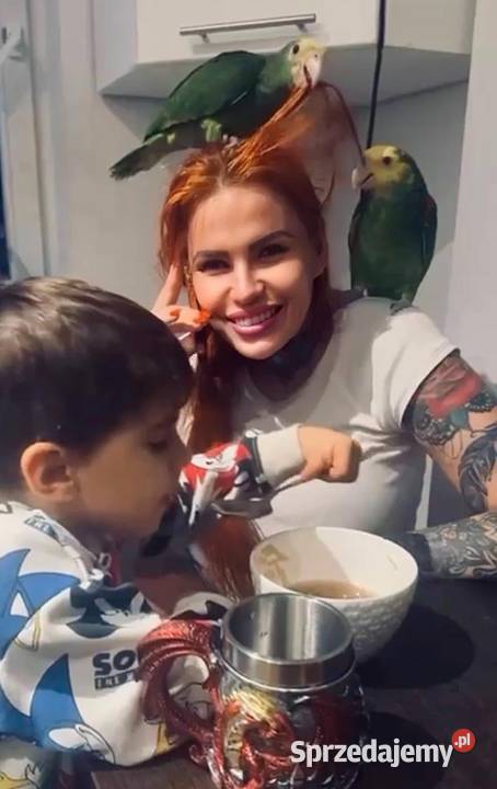 Sprzedam papugi amazonki Warszawa