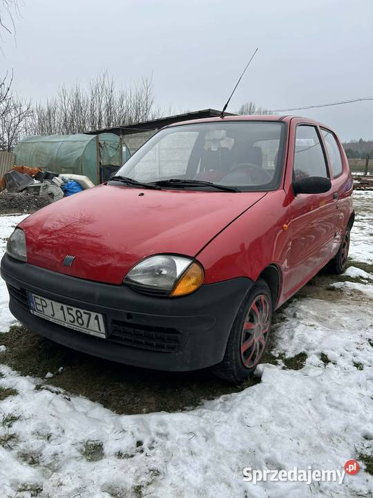 Seicento 900 Seicento Rząśnia