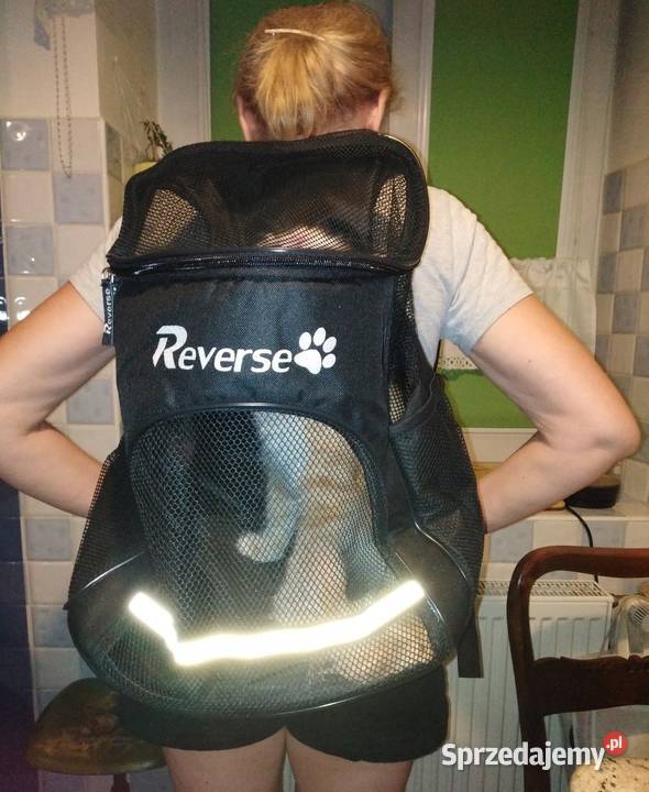 Torba na ramię PLECAK Transporter Psa Kota kujawsko-pomorskie Bydgoszcz