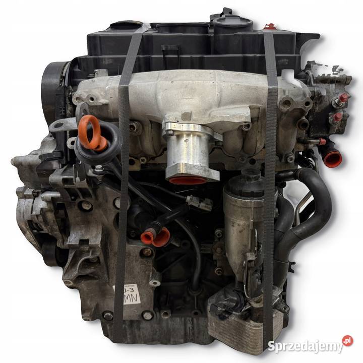 SILNIK BMN Seat Altea Audi A3 II 8P Skoda osobowe Silniki kompletne Chełm