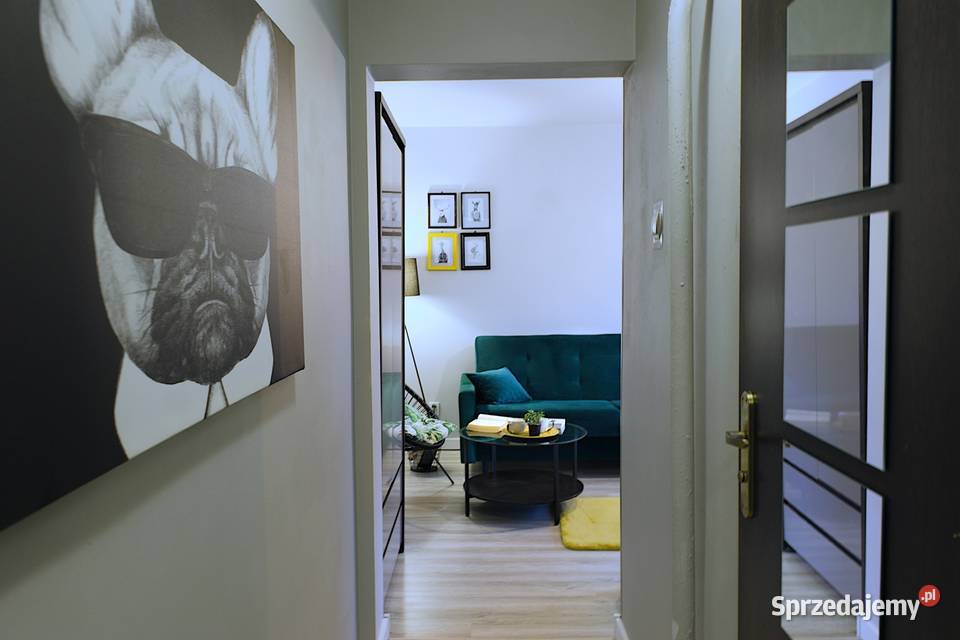 Na wynajem mieszkanie 37m 2 pokoje balkon nowe i łódzkie Łódź