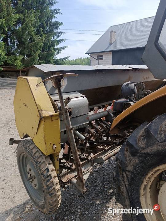 Siewnik poznaniak nieuszkodzony