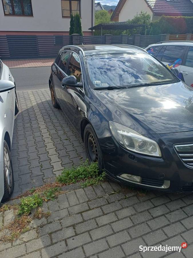 Opel Insignia 2010 Bielsko-Biała