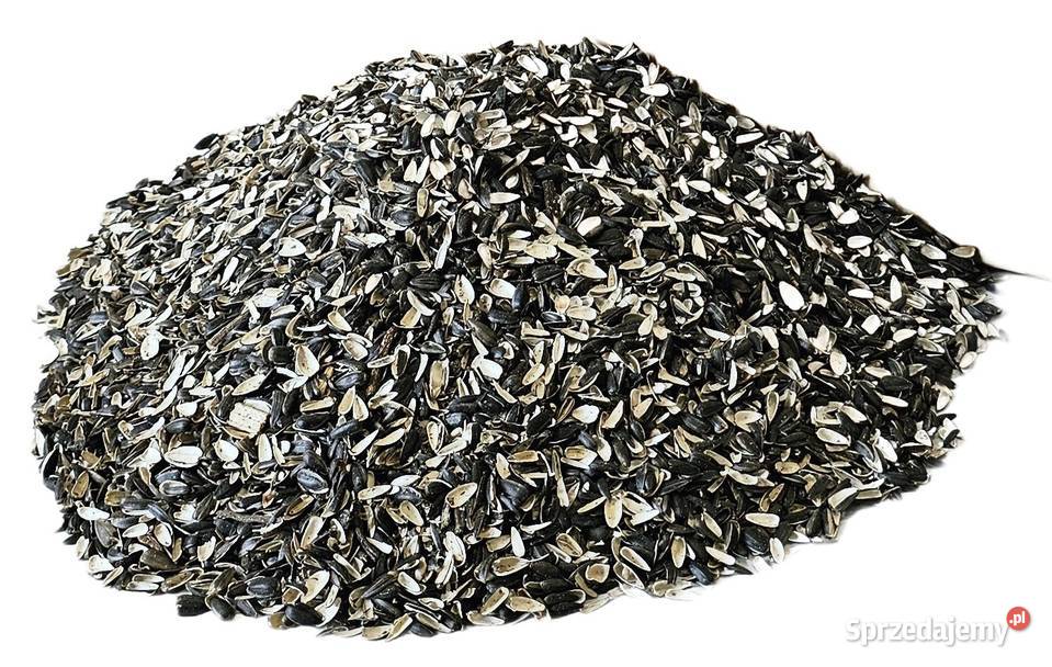 Łuska słonecznika 250 3000L BigBag karma konia