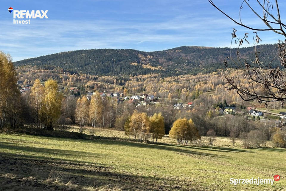 Działka 468 ha gór i Jeziora Żywieckiego 46823m2 Las