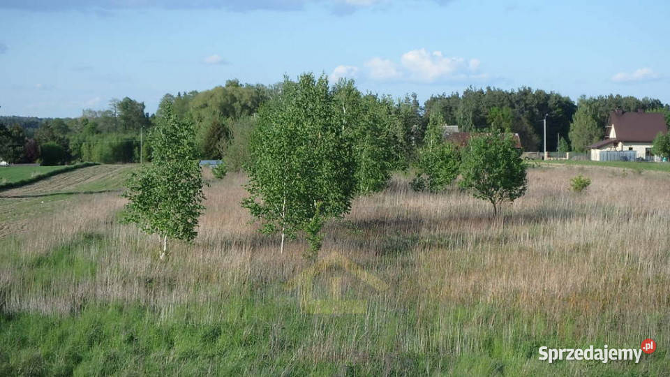 Działka w Gadce gmina Kołbiel Gadka