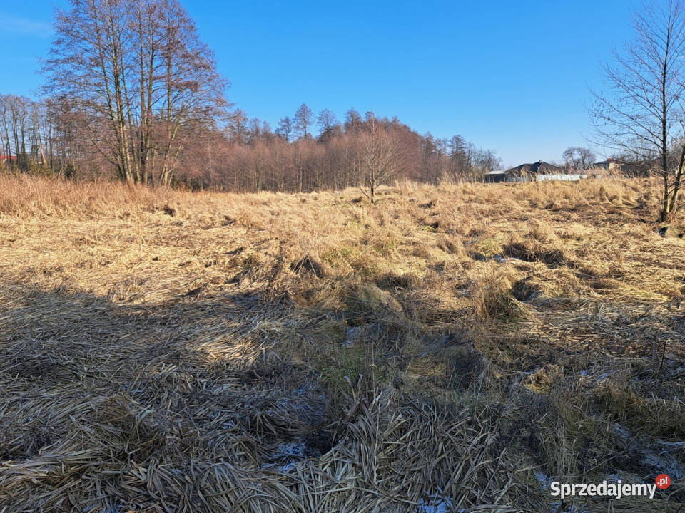 Ogłoszenie działka 2200m2 Niedrzwica Duża budowlana Sprzedaż