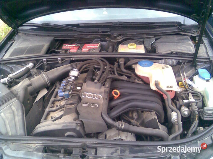 sprzedam Audi a4 b7 20 A4 Motoryzacja Opatów