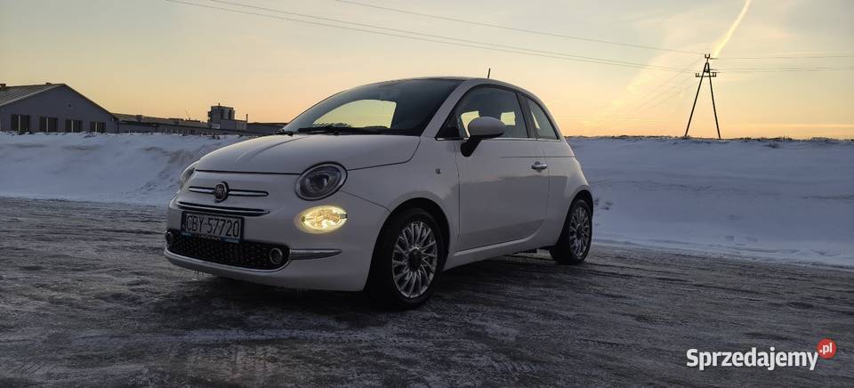 Zadbamy serwisie Rok produkcji 2016 Chełmno sprzedam