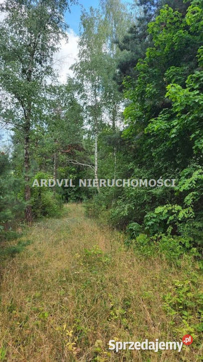 Ogłoszenie działka 2283m2 WaliłyStacja Kolejowa Waliły-Stacja sprzedam