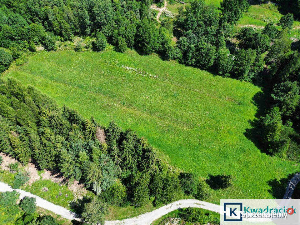 Działka 1921m2 Turze Pole podkarpackie sprzedam