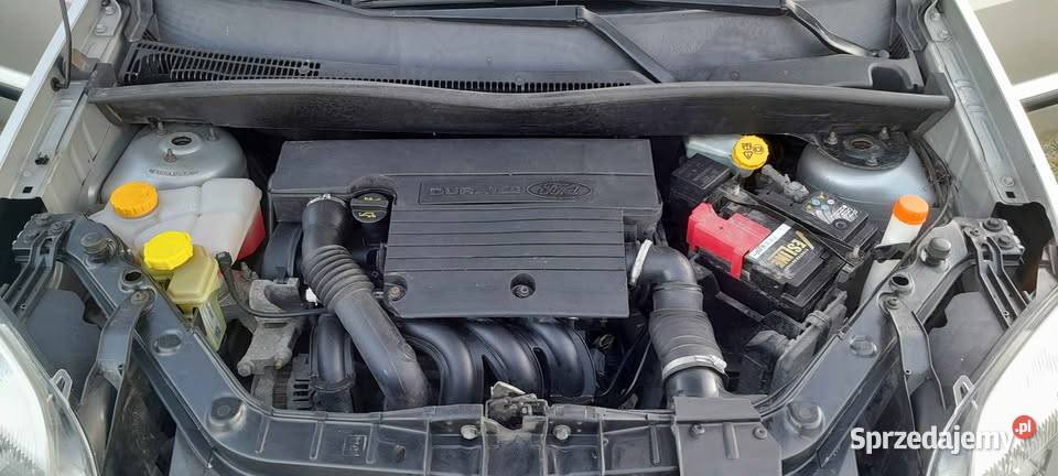 Ford Fusion 14 Benzyna 2005 przebieg 170 klima Gostynin sprzedam