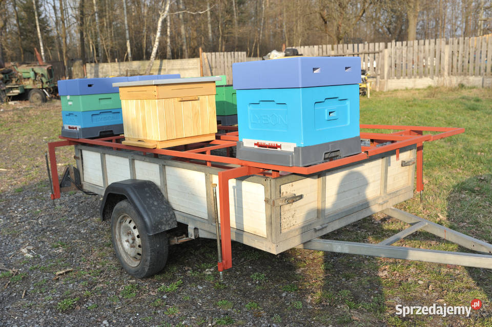 Zabudowa przyczepki platformą do przewozu uli