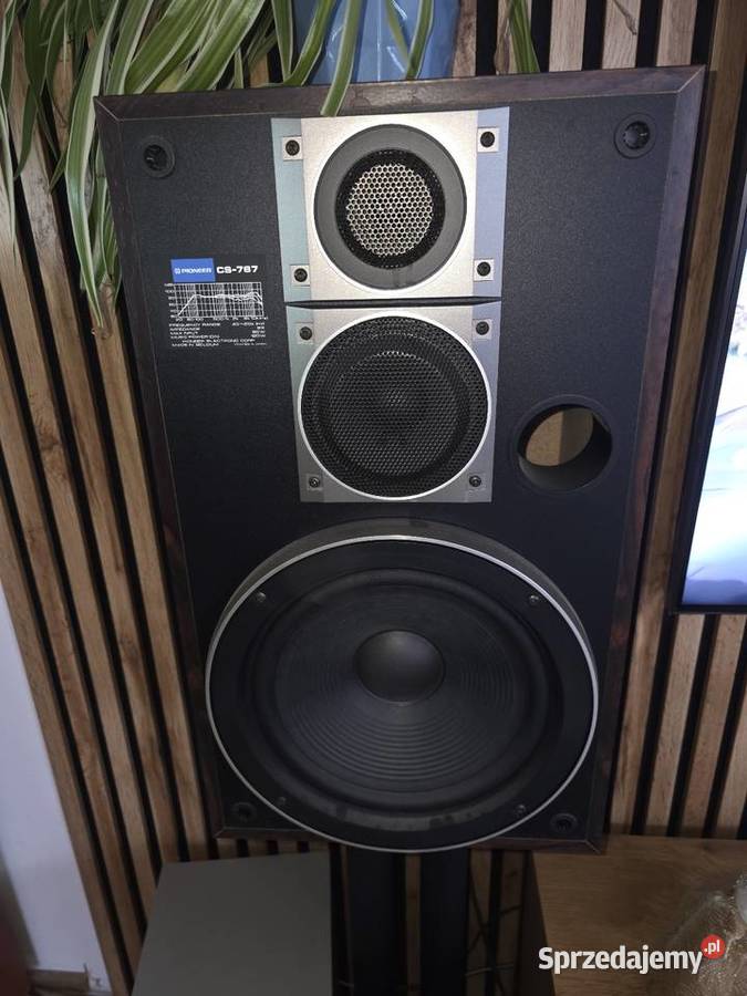 Zestaw Muzyczny wielkopolskie Wągrowiec