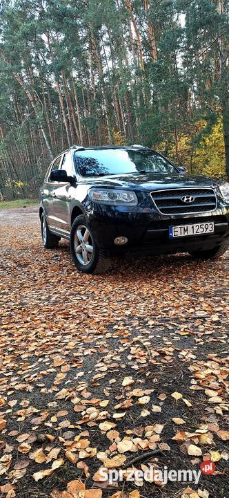 Hyundai Santa Fe II hak Tomaszów Mazowiecki