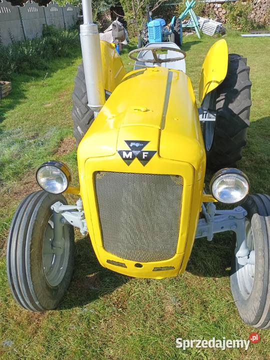Massey Ferguson 35 benzyna Koszalin