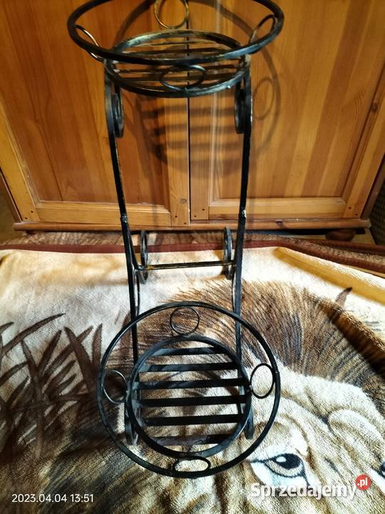 Kwietnik inny kolor Słonawy