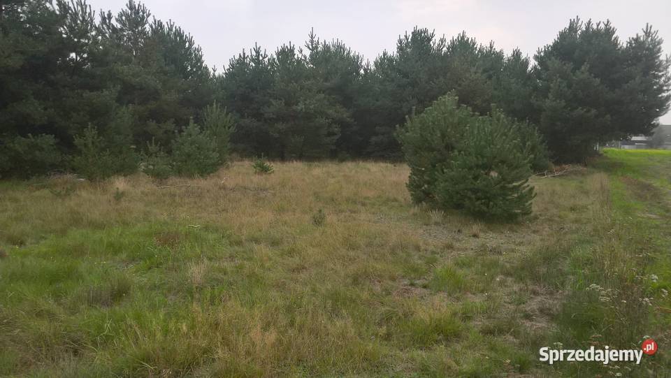 Dymaczewo Nowe Działka Mosina