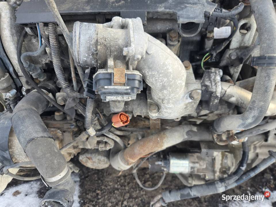 Kompletny Silnik 23 Euro 5 Fiat Ducato Iveco Rok produkcji 2012 Ostrzeszów sprzedam