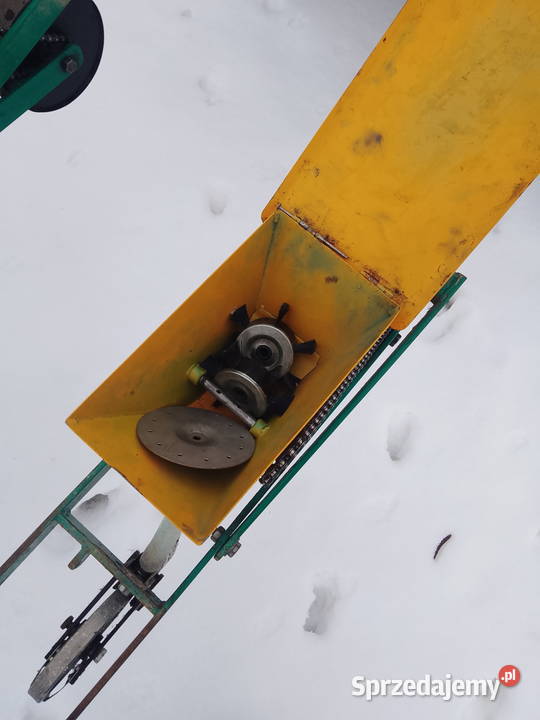 Siewnik siewniki do warzyw pietruszki marchwi świętokrzyskie Jędrzejów