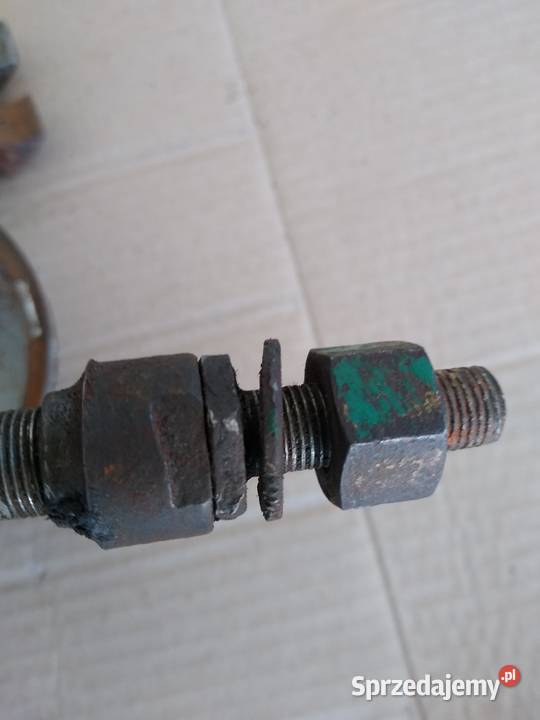 Żak ryś komar pozostałość prl