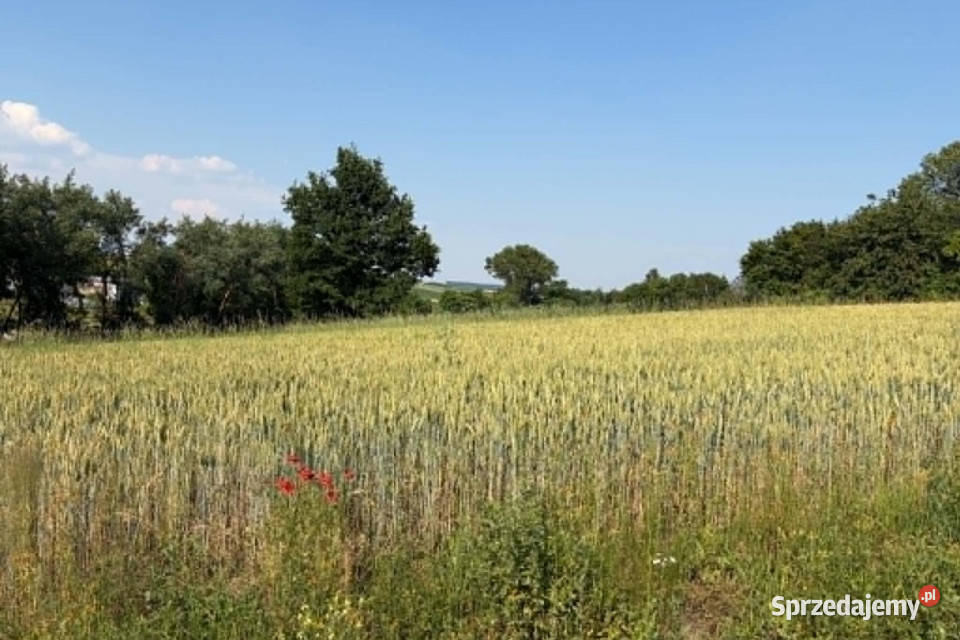 Działka z WZ na sprzedaż Dodów Gm Radziemice Nieruchomości małopolskie