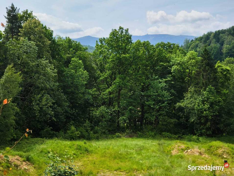 Działka w górach w m Piechowice Górzyniec dolnośląskie Sosnówka