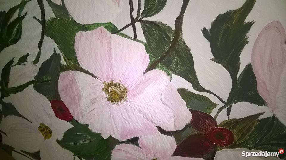 Obraz akryl Gałąź Dzikiej Róży Antyki, Sztuka, Kolekcje Oleśnica