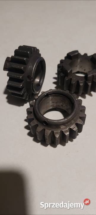 Wsk 175 koło zębate Rypin