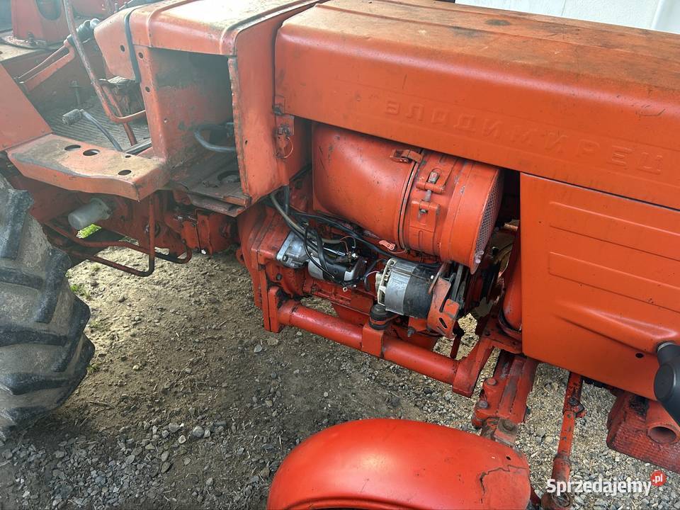 Sprzedam władymirca Lublin