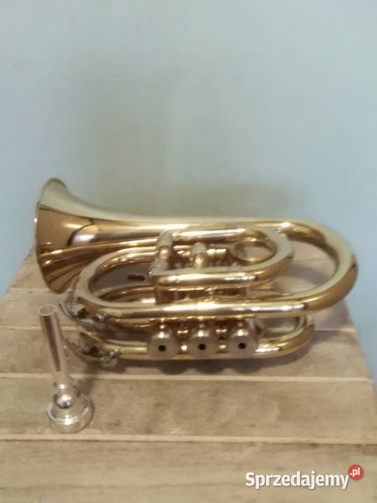 Trąbka kieszonkowa Instrumenty dęte