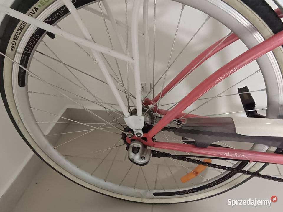 Damka 28 stan Pruszcz Gdański sprzedam