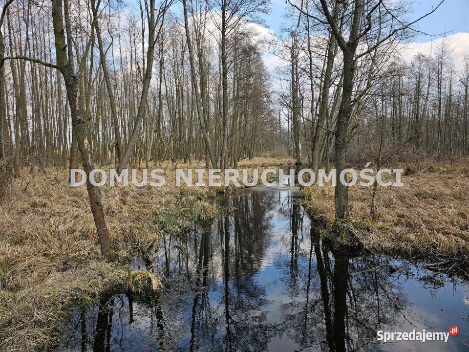 Dom wolnostojący sprzedam Frydrychów 60m2