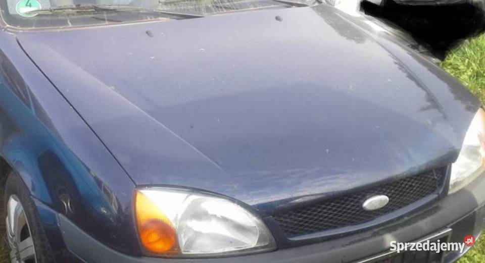 Ford Fiesta 2001r mk5 maska Dębno