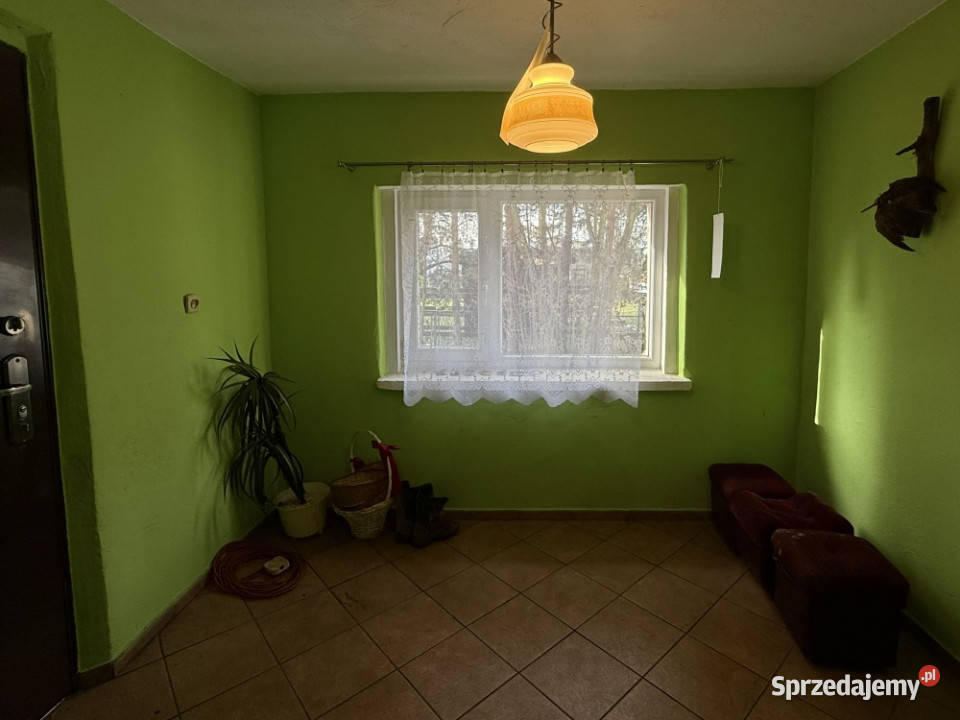 Okazja Dom do remontu samym lesie Żory asfalt śląskie sprzedam