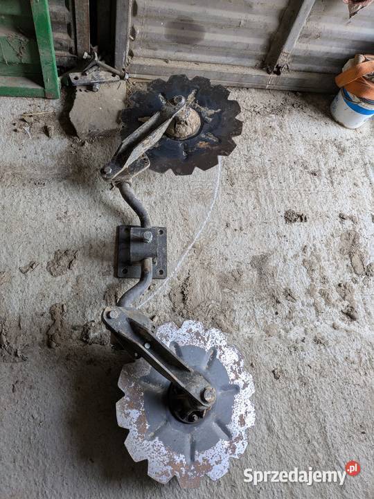 Krój uniwersalny roland