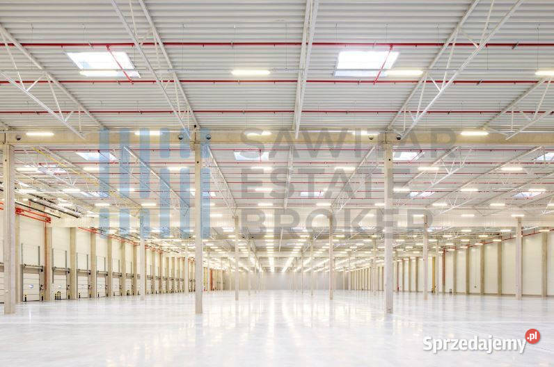 Hala klasa A3500m2200m2 biurasocjBez Prowizji dolnośląskie Kąty Wrocławskie