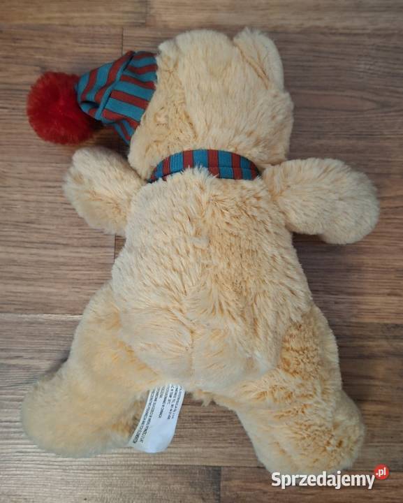 Maskotka miś pluszak 19 Zielona Góra